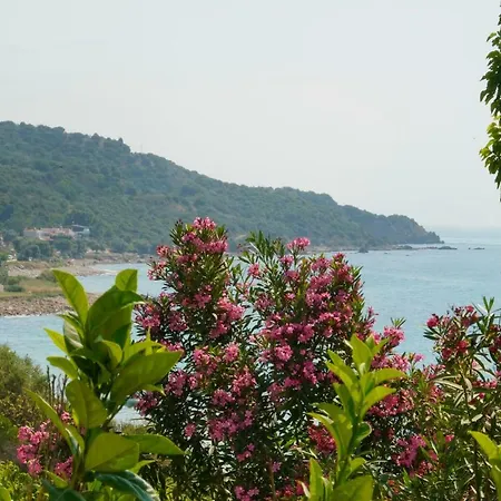 Secret Paradise