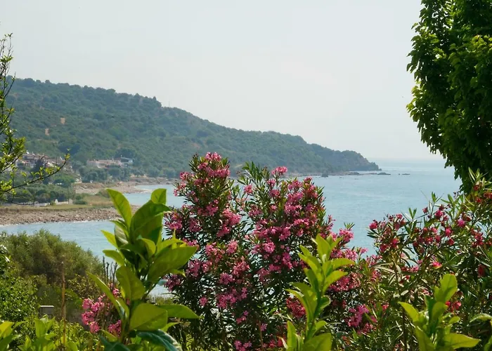 Secret Paradise